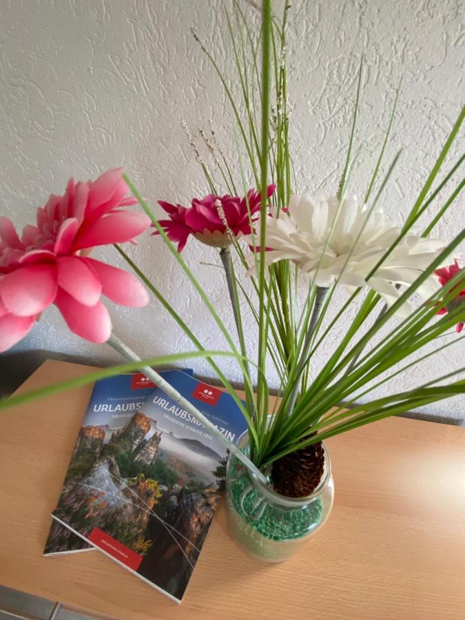 Waldblickwohnung Mit Schoener Terrasse Und Kamin Sebnitz Bagian luar foto