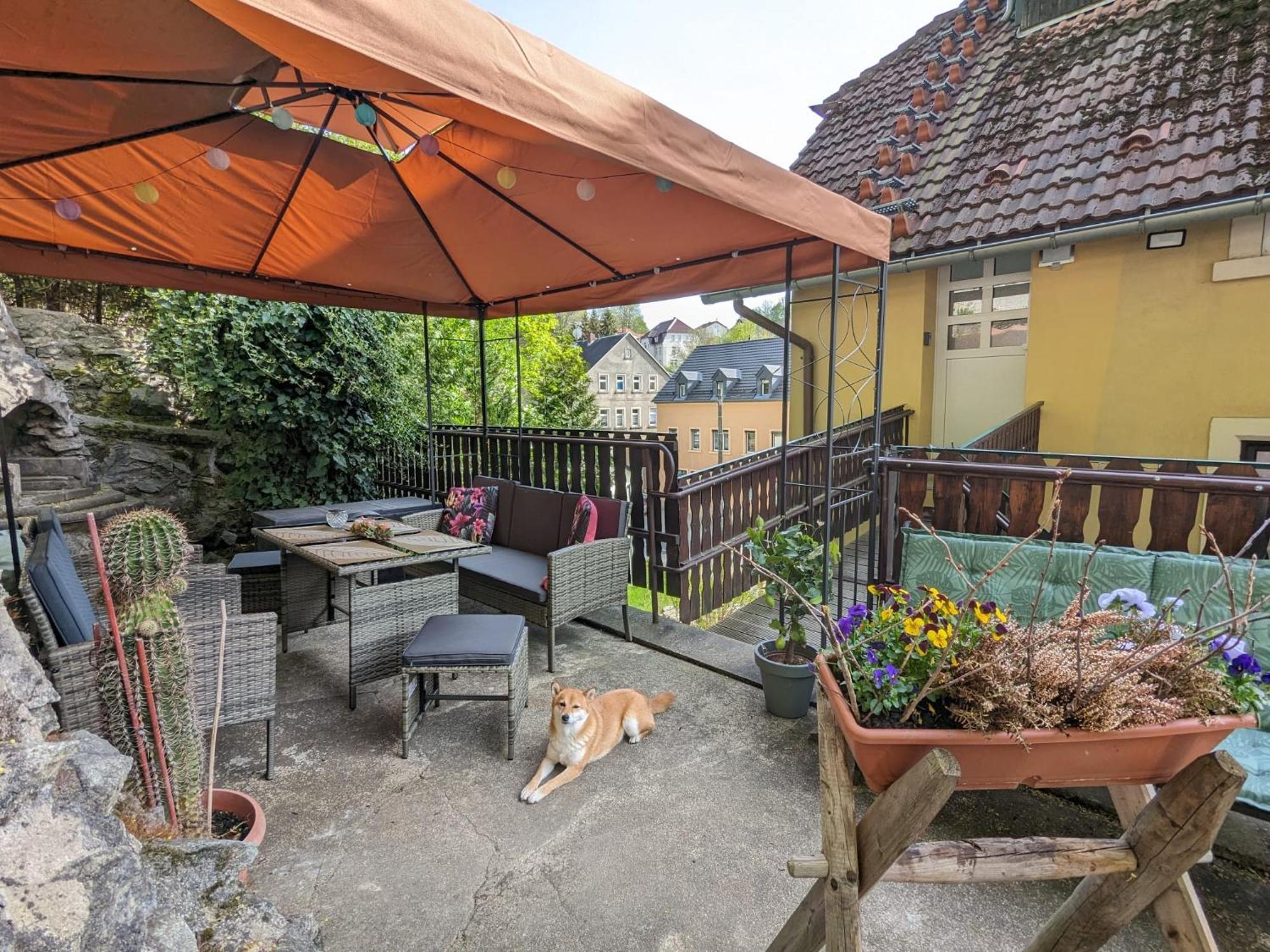 Waldblickwohnung Mit Schoener Terrasse Und Kamin Sebnitz Bagian luar foto